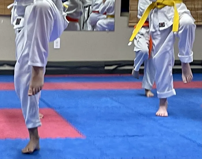 Gairyoku Karate Academy Picture 5