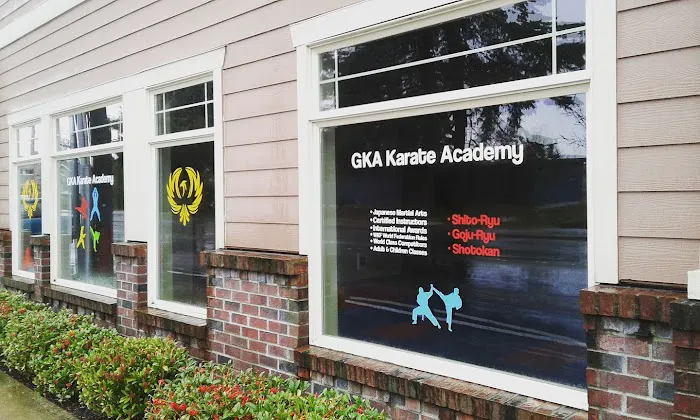 Gairyoku Karate Academy Picture 7