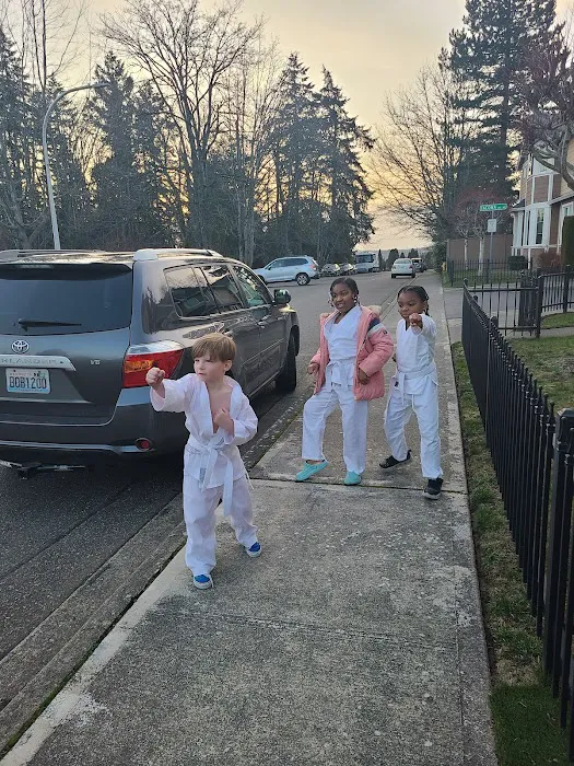 Gairyoku Karate Academy Picture 6