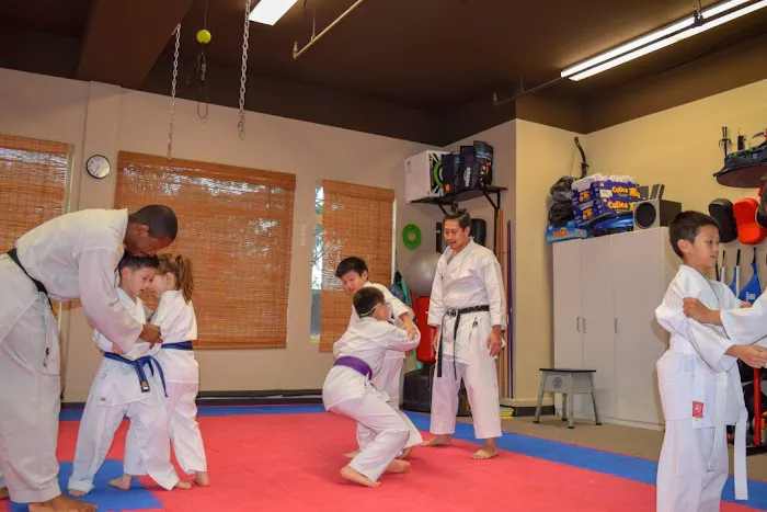 Gairyoku Karate Academy Picture 8