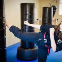 Universal Energy Martial Arts ico