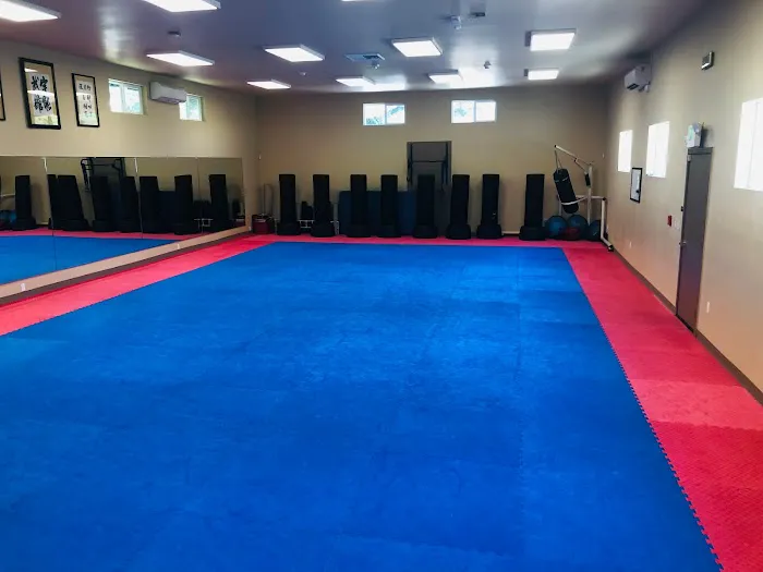 Universal Energy Martial Arts Picture 4