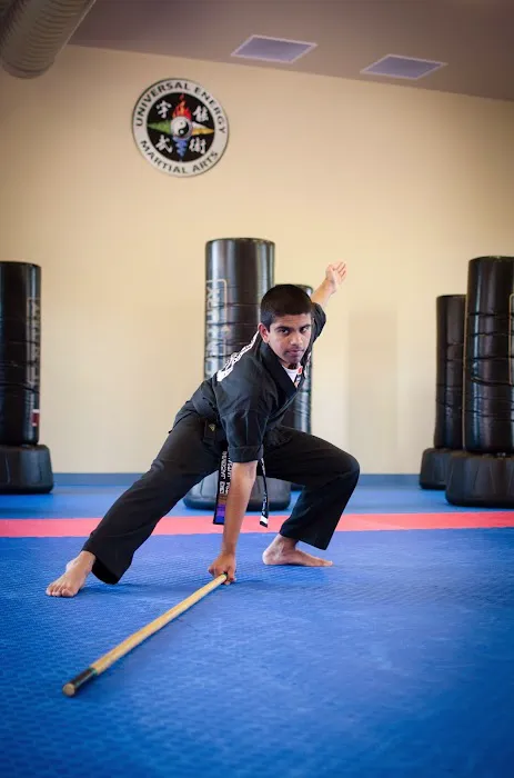 Universal Energy Martial Arts Picture 7