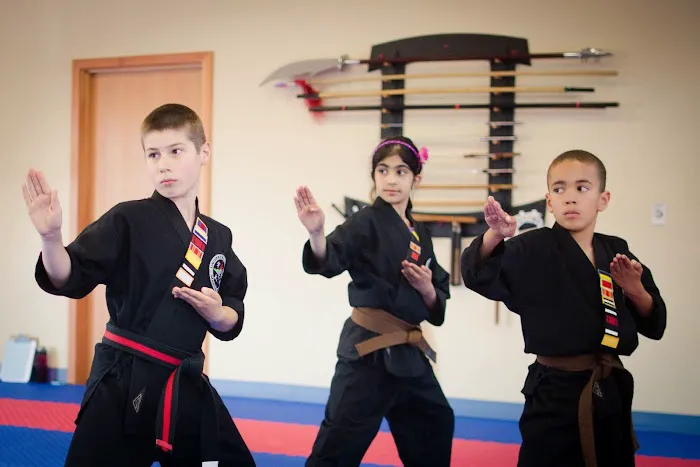 Universal Energy Martial Arts Picture 8