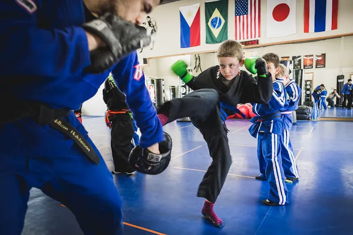 Family Martial Arts Academy Picture 2