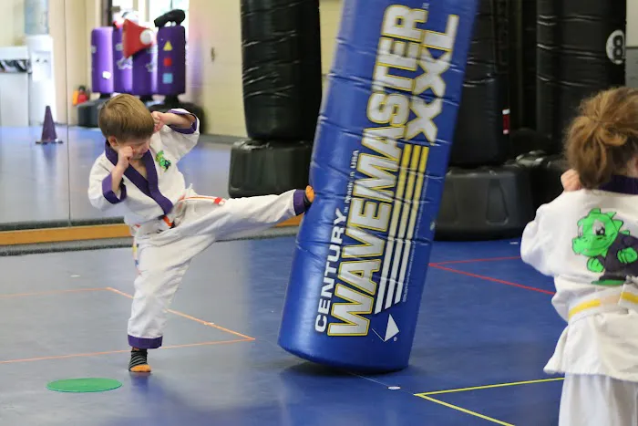 Family Martial Arts Academy Picture 3