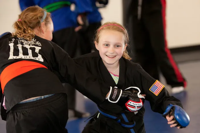 Family Martial Arts Academy Picture 9