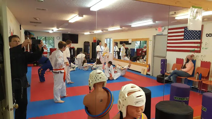 Olympic Taekwondo Academy Picture 1