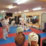 Olympic Taekwondo Academy