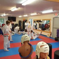 Olympic Taekwondo Academy ico