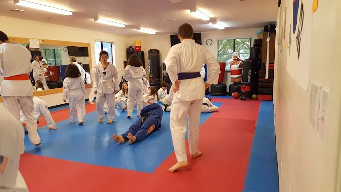 Olympic Taekwondo Academy Picture 2