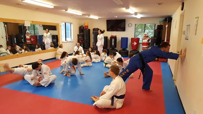 Olympic Taekwondo Academy Picture 3