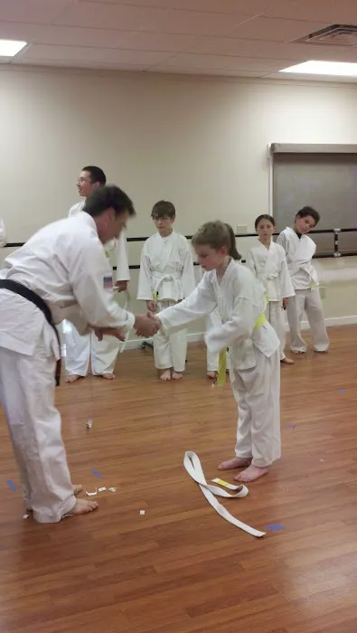 Olympic Taekwondo Academy Picture 8