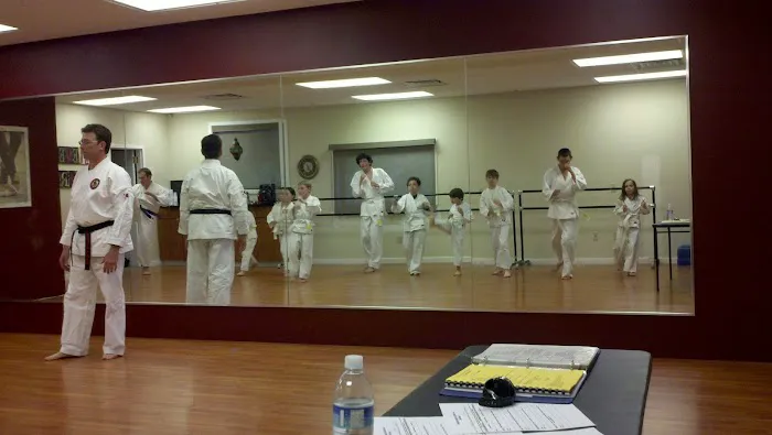 Olympic Taekwondo Academy Picture 4