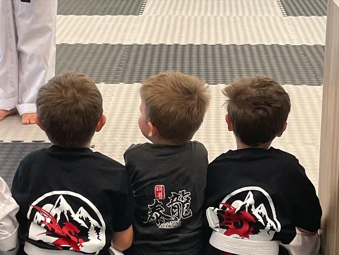 Tae Ryong Taekwondo - Washington Picture 4