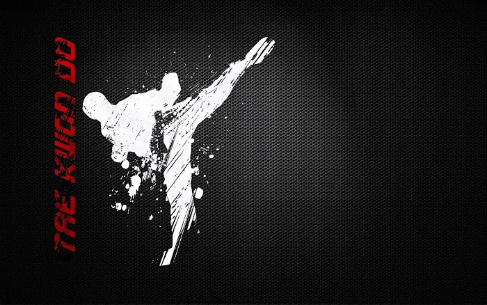 Grand Master YI Brothers Tae Kwon Do Picture 7