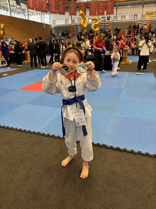 Taekwondo Way Picture 8