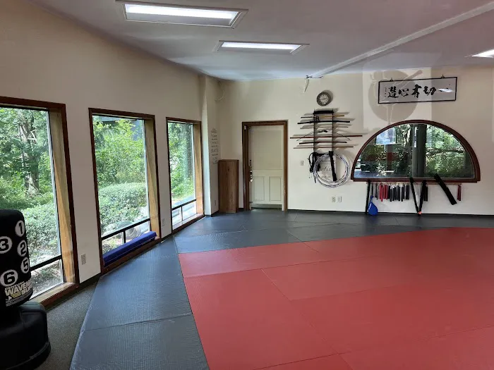 Jungyae Moosul Martial Arts Picture 2