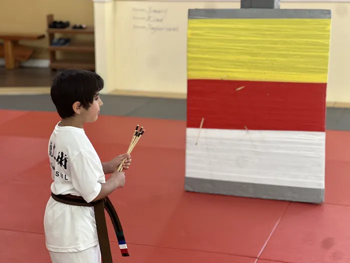 Jungyae Moosul Martial Arts Picture 5