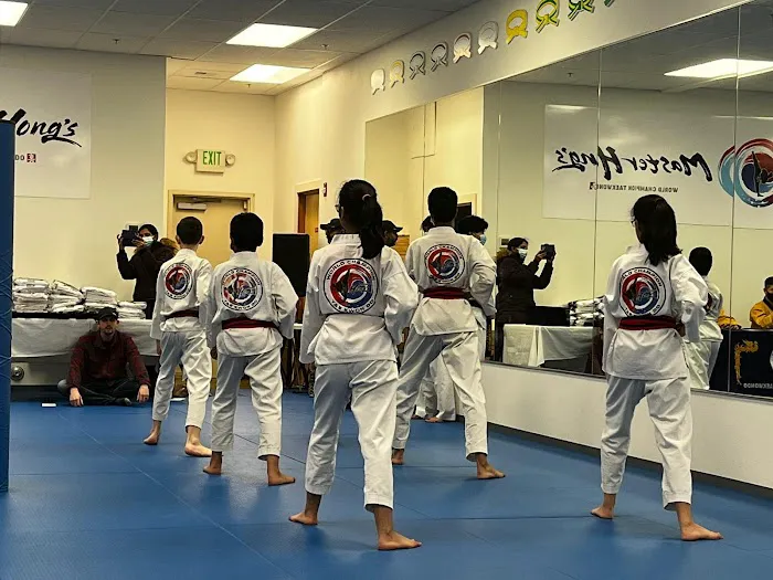 Master Hong's World Champion Taekwondo Picture 1