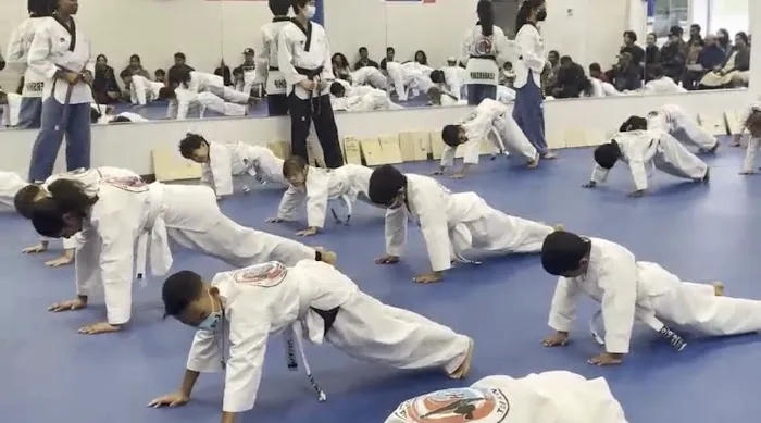 Master Hong's World Champion Taekwondo Picture 3