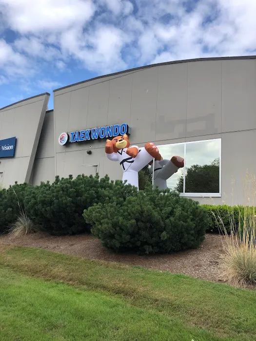 Master Hong's World Champion Taekwondo Picture 2