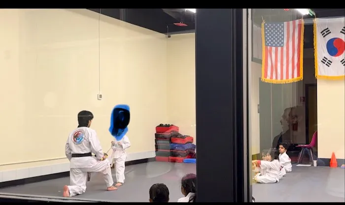 Master Hong's World Champion Taekwondo Picture 6