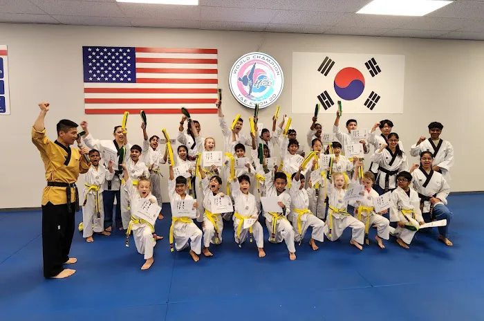 Master Hong's World Champion Taekwondo Picture 7