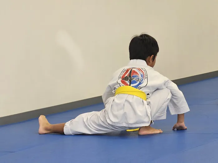 Master Hong's World Champion Taekwondo Picture 8