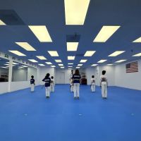 Master Kim's World Champion Taekwondo ico