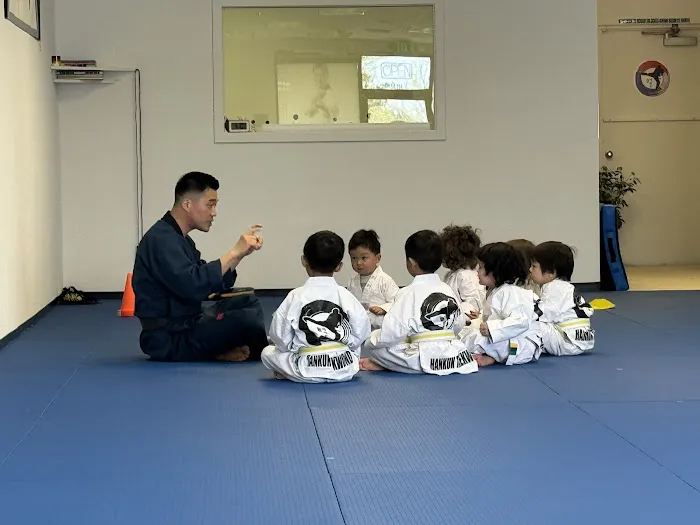 Master Lee's Hankuk Taekwondo Picture 4