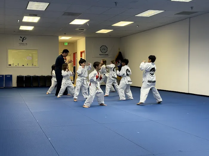 Master Lee's Hankuk Taekwondo Picture 7
