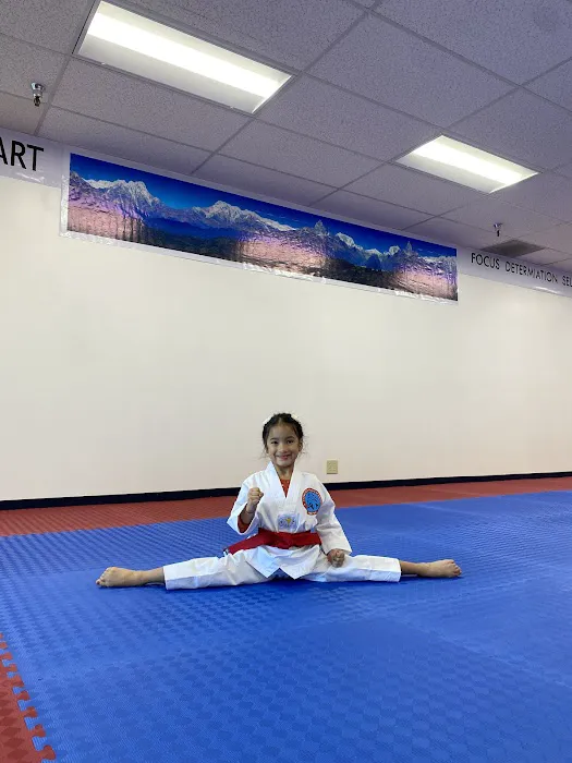 Everest United Tae Kwon Do Academy Picture 4