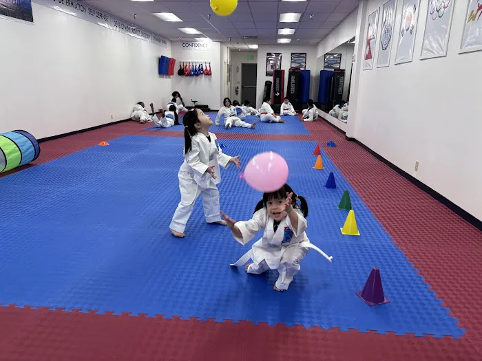 Everest United Tae Kwon Do Academy Picture 6