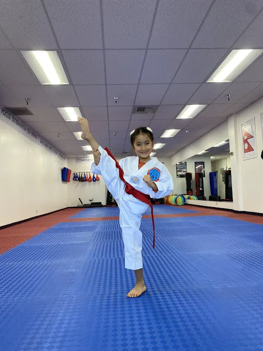 Everest United Tae Kwon Do Academy Picture 5