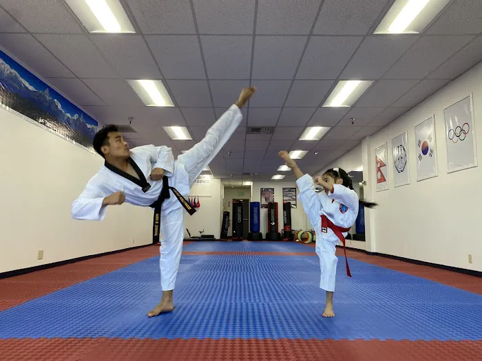 Everest United Tae Kwon Do Academy Picture 8