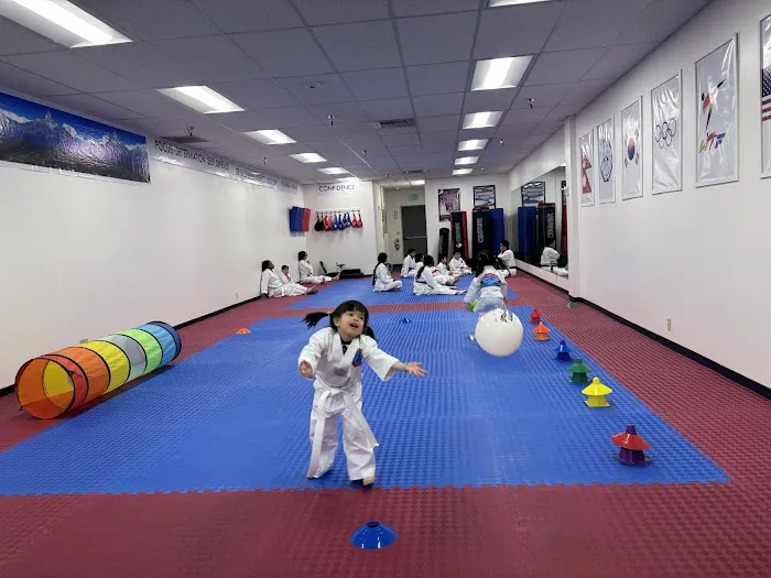 Everest United Tae Kwon Do Academy Picture 7