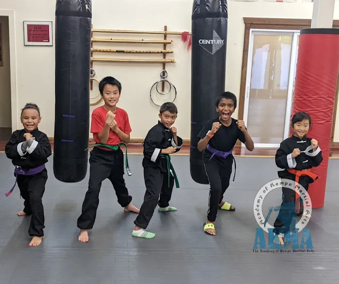 The Academy of Kempo Martial Arts Picture 10