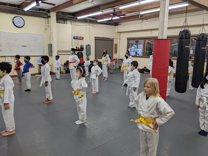 The Academy of Kempo Martial Arts Picture 9