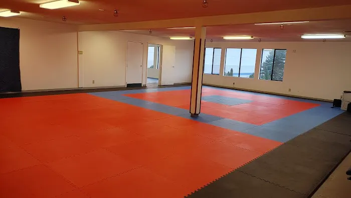 Northwest School of Karate Picture 1