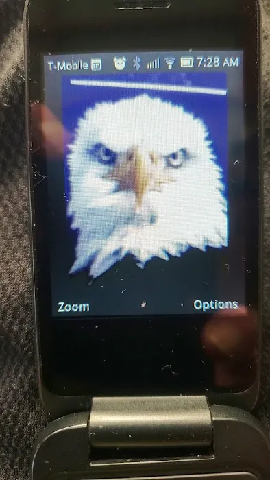 Conqueror Hapkido & MMA (Self Defense, Martial Arts) Picture 8