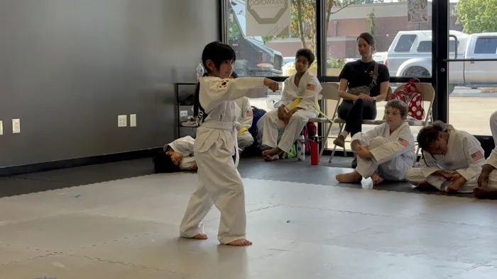 Titans Taekwondo Picture 4