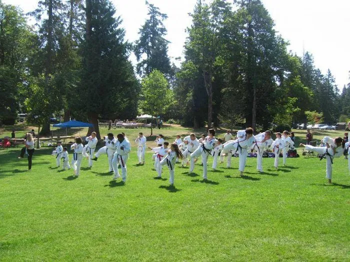 Northwest Phoenix Martial Arts Picture 3