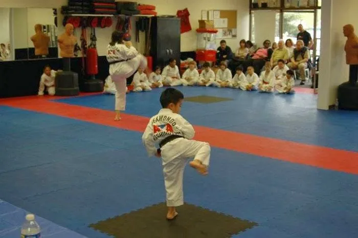 Northwest Phoenix Martial Arts Picture 5