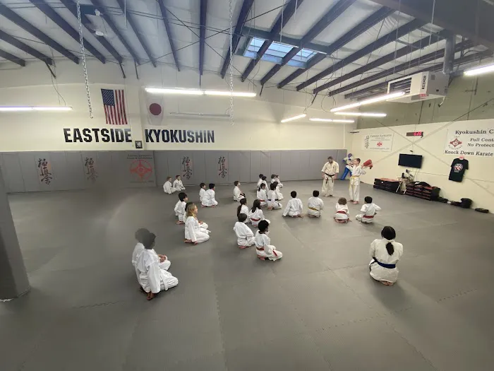Eastside Kyokushin Karate & Self-Defense Picture 1