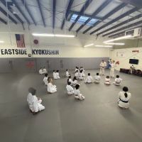 Eastside Kyokushin Karate & Self-Defense ico