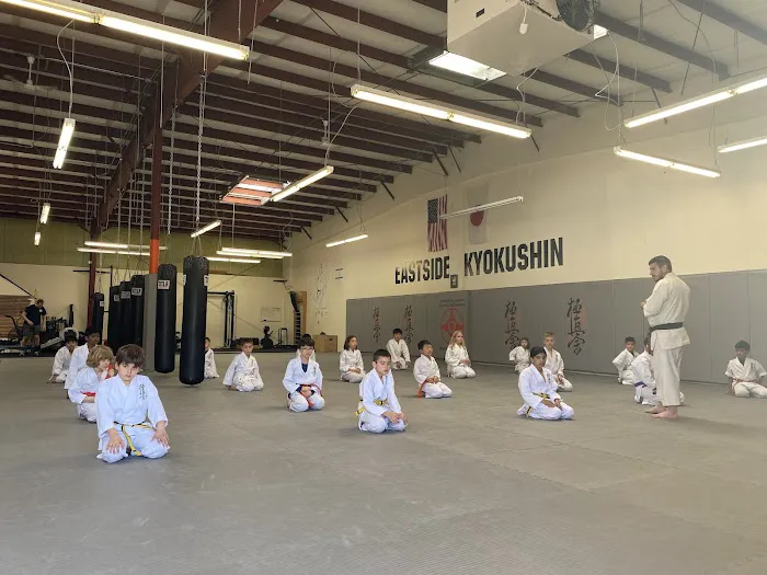 Eastside Kyokushin Karate & Self-Defense Picture 3