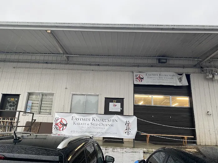 Eastside Kyokushin Karate & Self-Defense Picture 4