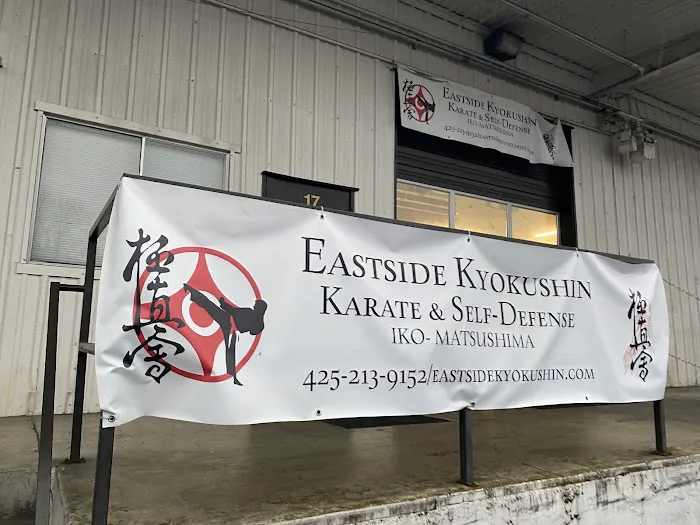 Eastside Kyokushin Karate & Self-Defense Picture 2