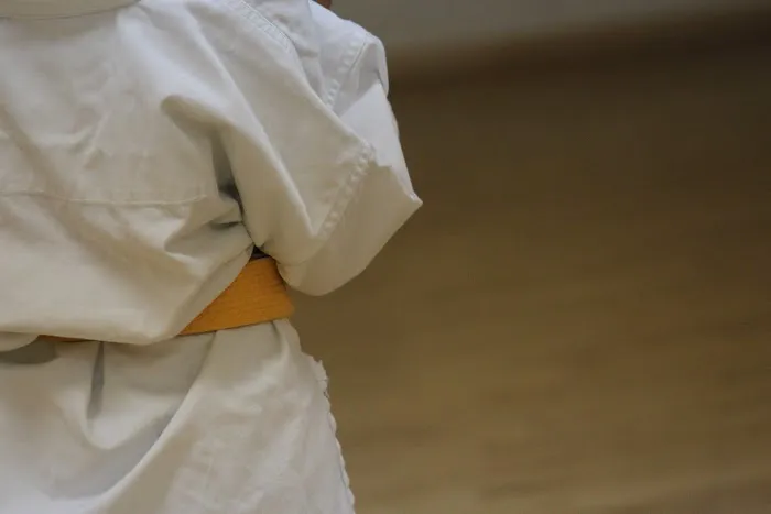 Chikara Carter Satori Karate Picture 1